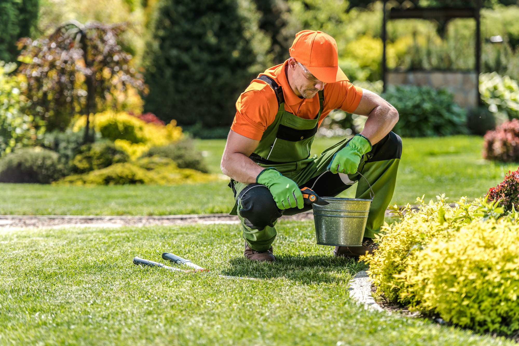 Garden Maintenance